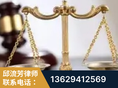 武安-委托诉讼代理人出庭